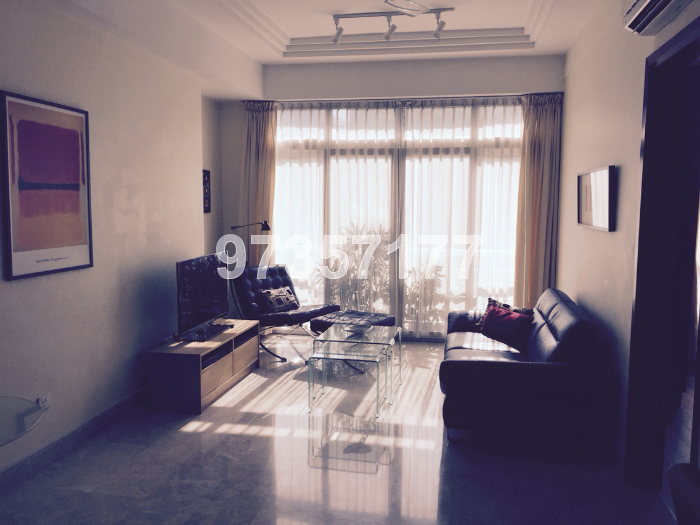 Thomson Vale (D11), Apartment #166884502